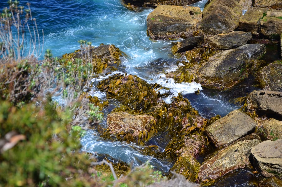 Вся Австралия с островами Фрейзер и Тасмания: 26 тыс км на авто (много фото)