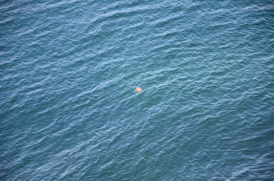 Вся Австралия с островами Фрейзер и Тасмания: 26 тыс км на авто (много фото)