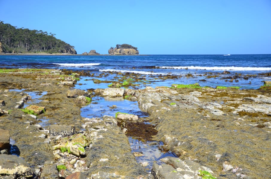 Вся Австралия с островами Фрейзер и Тасмания: 26 тыс км на авто (много фото)