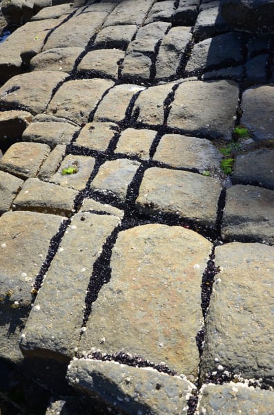 Вся Австралия с островами Фрейзер и Тасмания: 26 тыс км на авто (много фото)