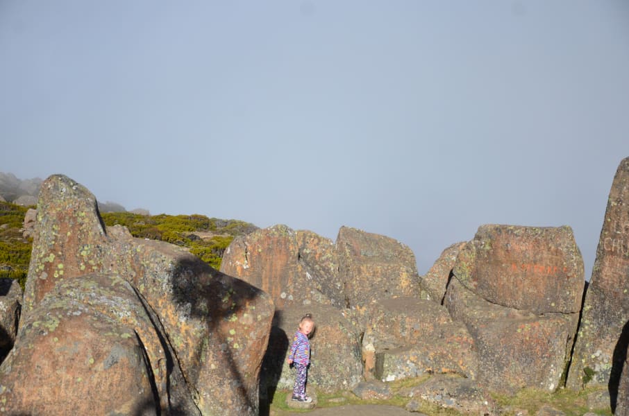 Вся Австралия с островами Фрейзер и Тасмания: 26 тыс км на авто (много фото)