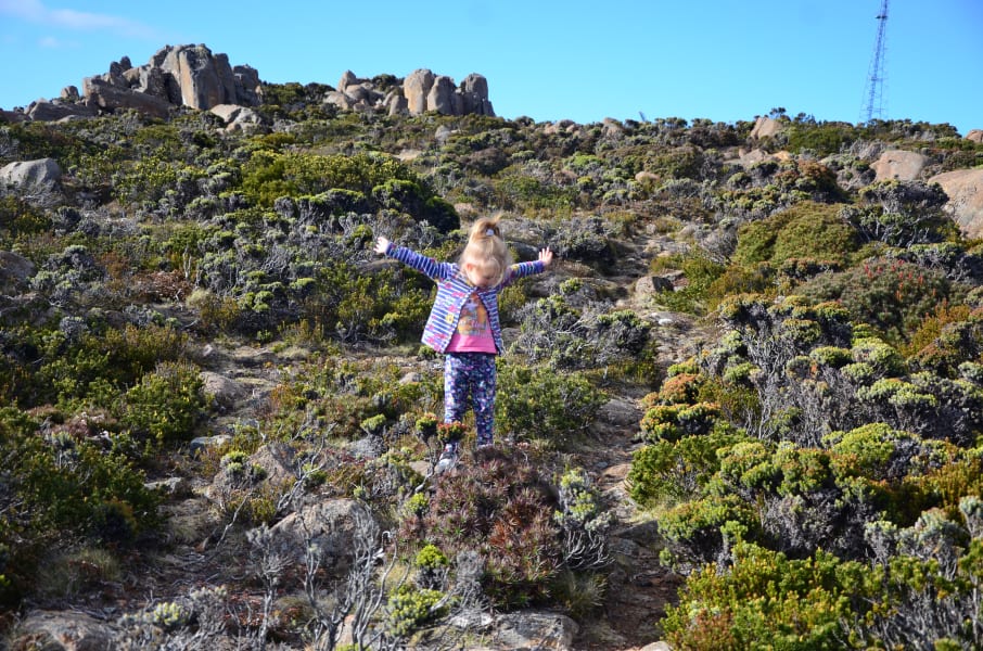 Вся Австралия с островами Фрейзер и Тасмания: 26 тыс км на авто (много фото)