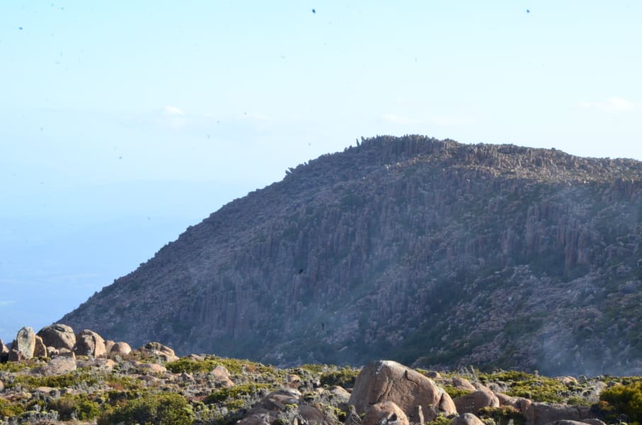 Вся Австралия с островами Фрейзер и Тасмания: 26 тыс км на авто (много фото)