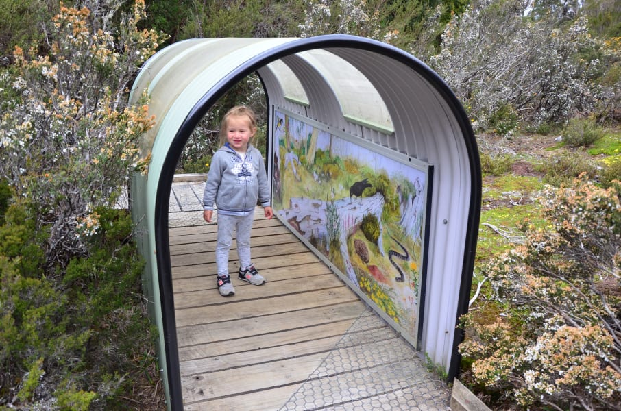 Вся Австралия с островами Фрейзер и Тасмания: 26 тыс км на авто (много фото)