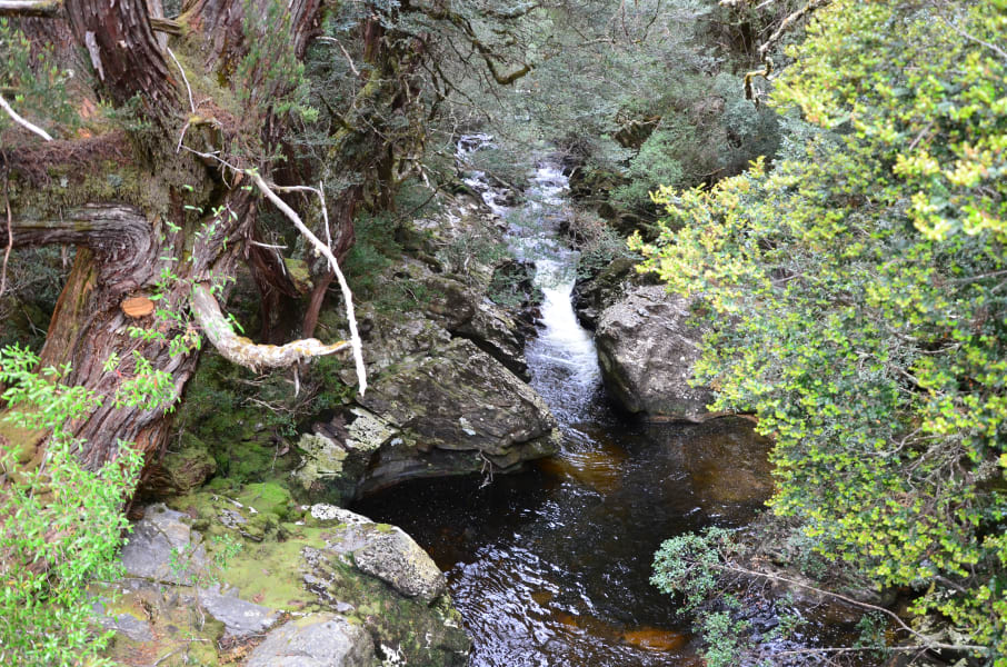 Вся Австралия с островами Фрейзер и Тасмания: 26 тыс км на авто (много фото)