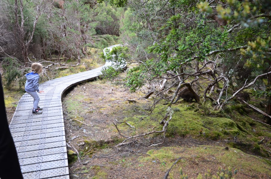 Вся Австралия с островами Фрейзер и Тасмания: 26 тыс км на авто (много фото)