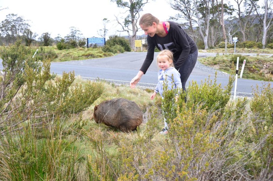 Вся Австралия с островами Фрейзер и Тасмания: 26 тыс км на авто (много фото)
