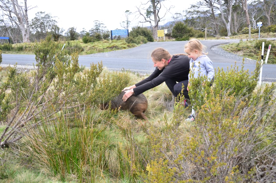 Вся Австралия с островами Фрейзер и Тасмания: 26 тыс км на авто (много фото)
