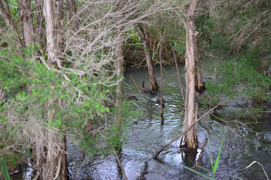 Вся Австралия с островами Фрейзер и Тасмания: 26 тыс км на авто (много фото)