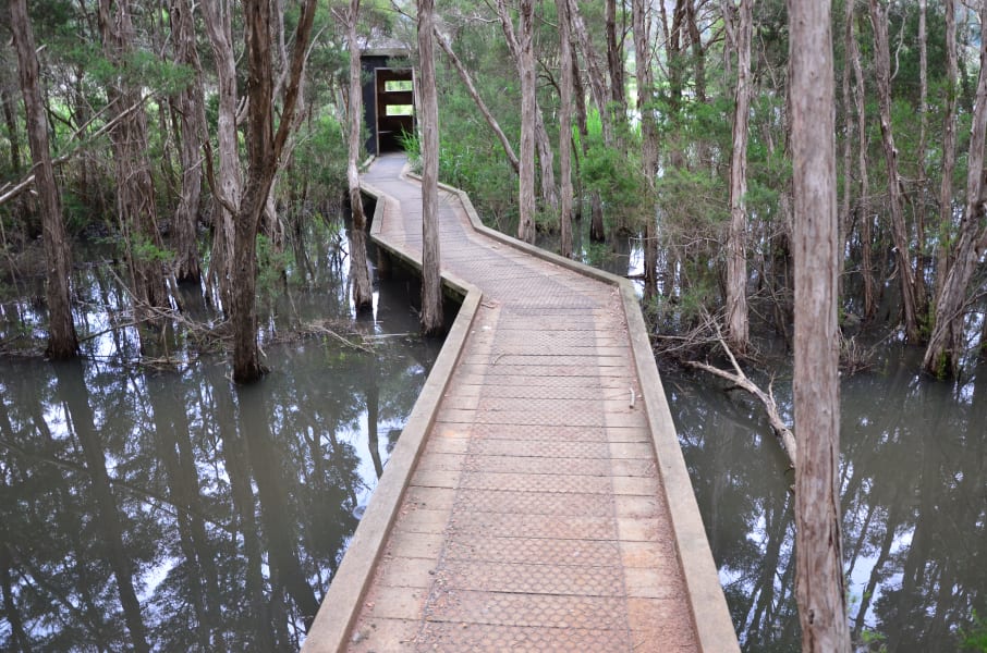 Вся Австралия с островами Фрейзер и Тасмания: 26 тыс км на авто (много фото)