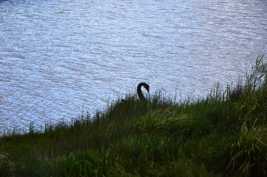 Вся Австралия с островами Фрейзер и Тасмания: 26 тыс км на авто (много фото)