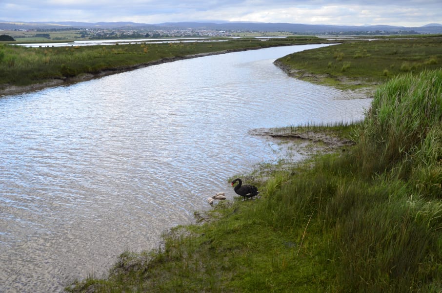 Вся Австралия с островами Фрейзер и Тасмания: 26 тыс км на авто (много фото)
