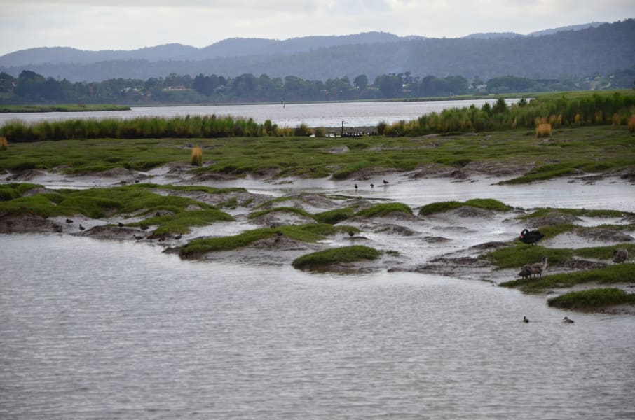 Вся Австралия с островами Фрейзер и Тасмания: 26 тыс км на авто (много фото)