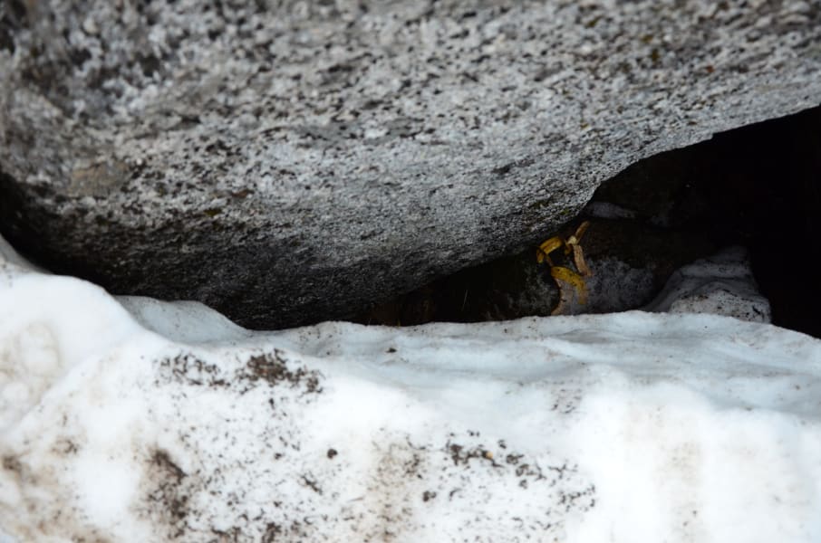 Нелегкие маршруты с легкими детьми: Kjeragbolten, Preikestolen, Trolltunga и Nigardsbreen за 4 дня с двумя детьми в рюкзаках (июль 2017)