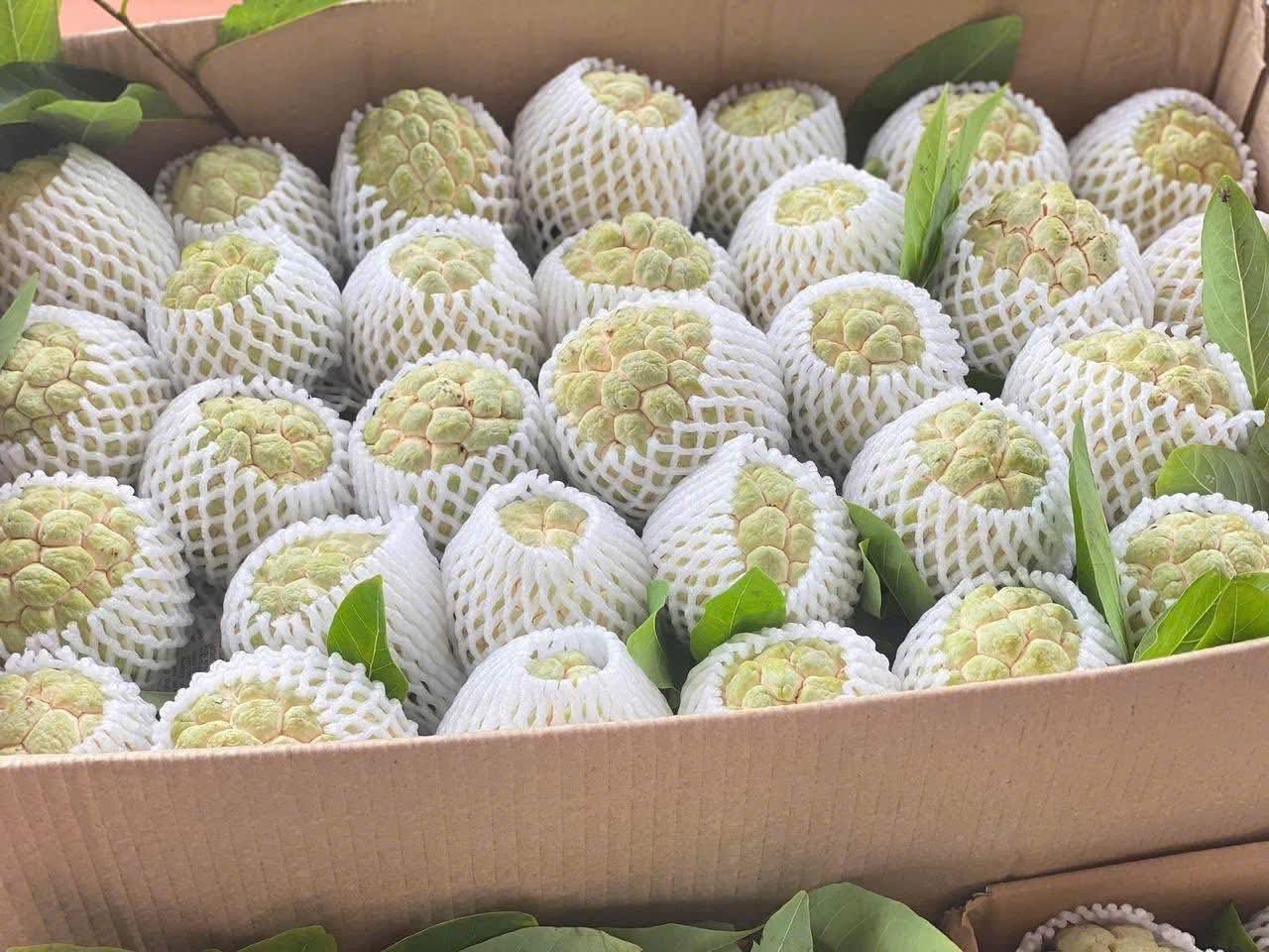 Agricultural products