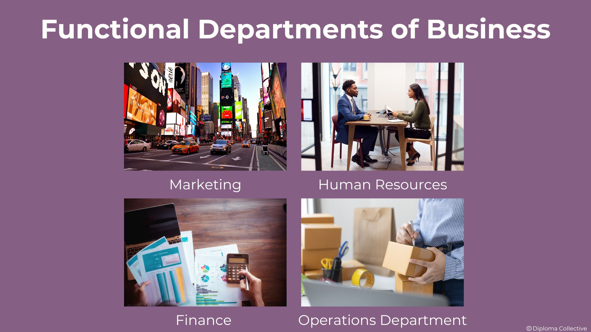 IB business management Teacher Resources
