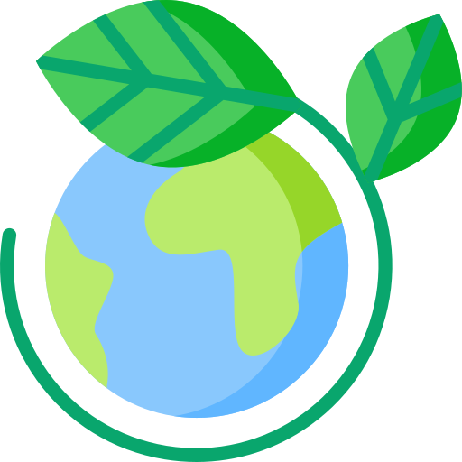 IB Business Management IA Topic Examples