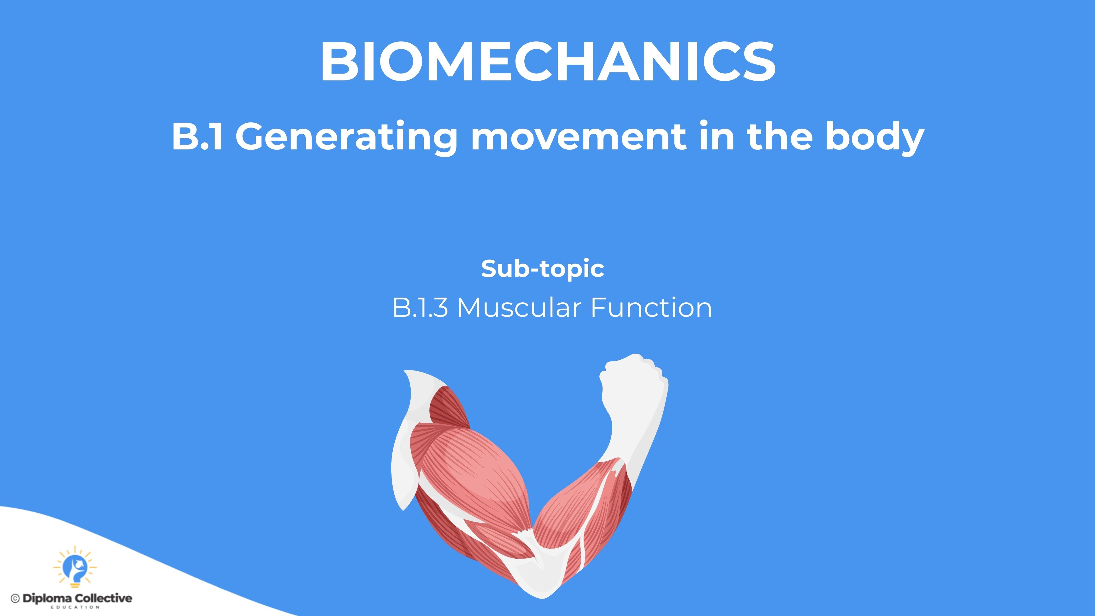 IB SEHS Teacher Resources