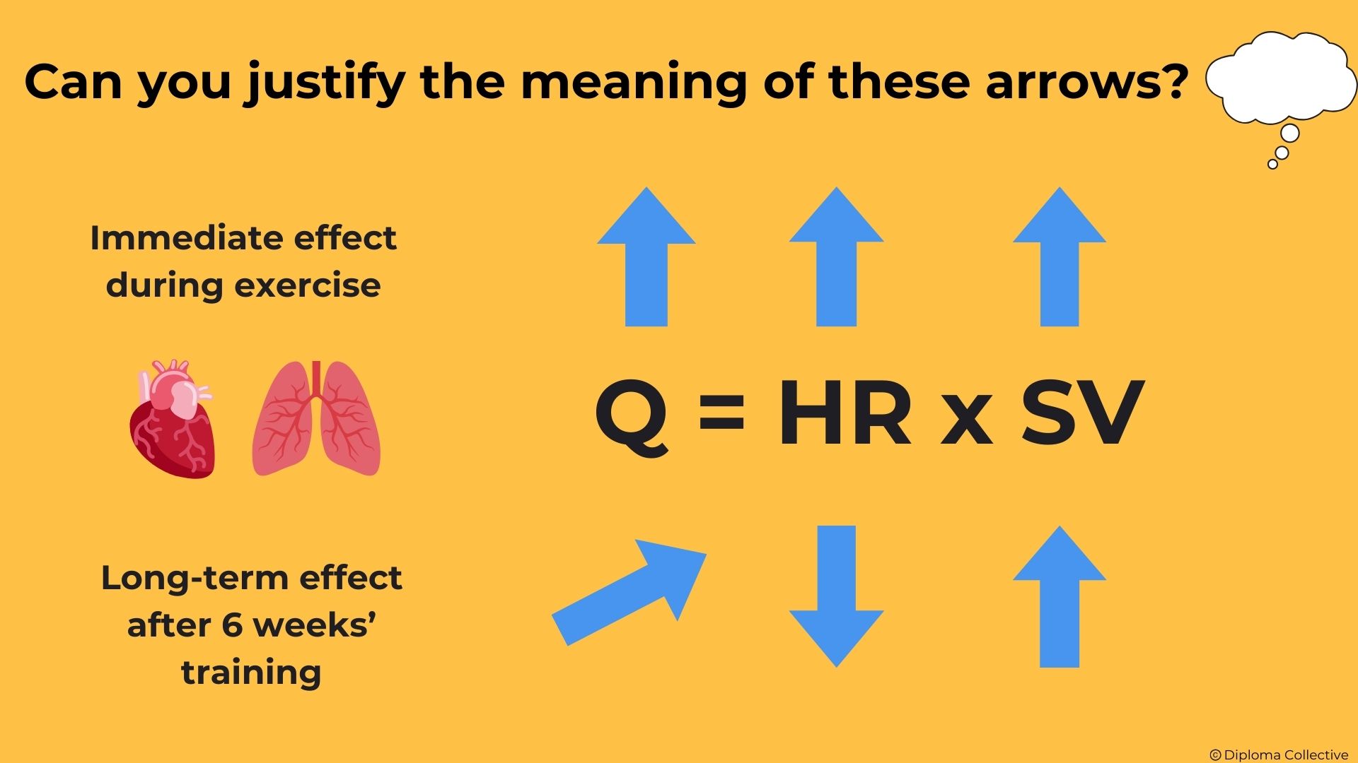 IB SEHS Teacher Resources