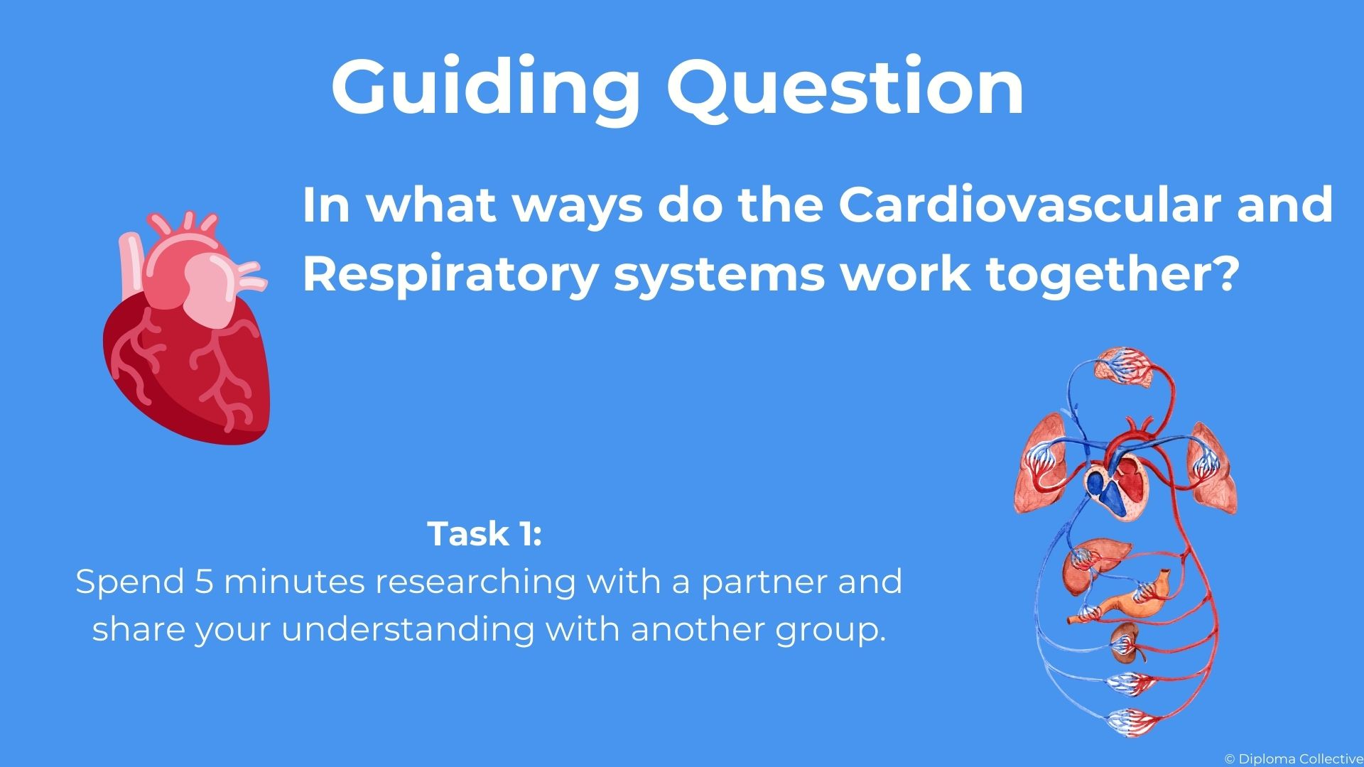 IB SEHS Teacher Resources