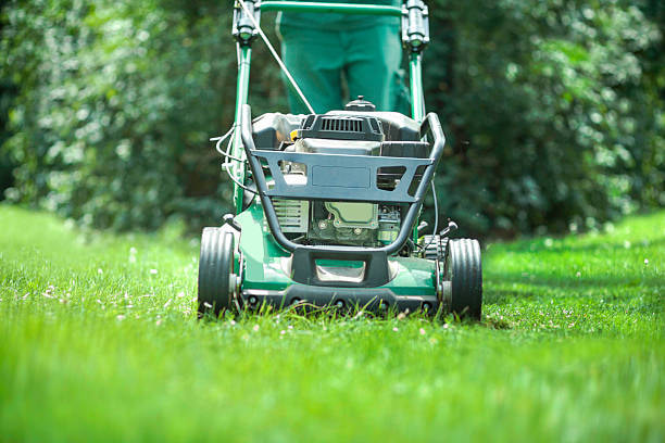Plant Services