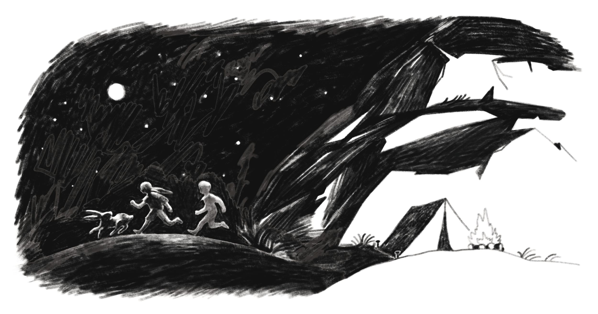 Campfire