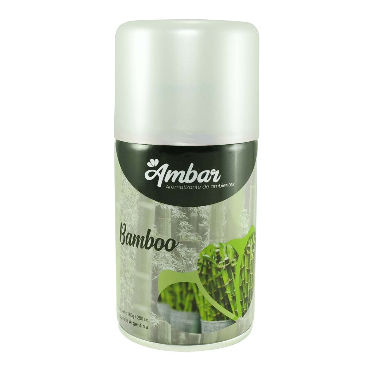 Bamboo