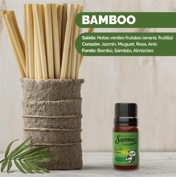 Bamboo