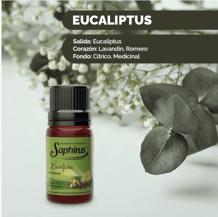 Eucaliptus