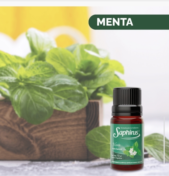 Menta