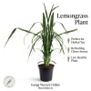 Herb Kitchen Gift Set view 3