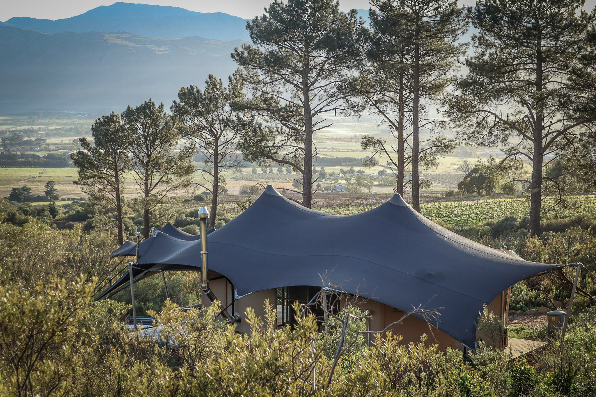 Stretch Tent