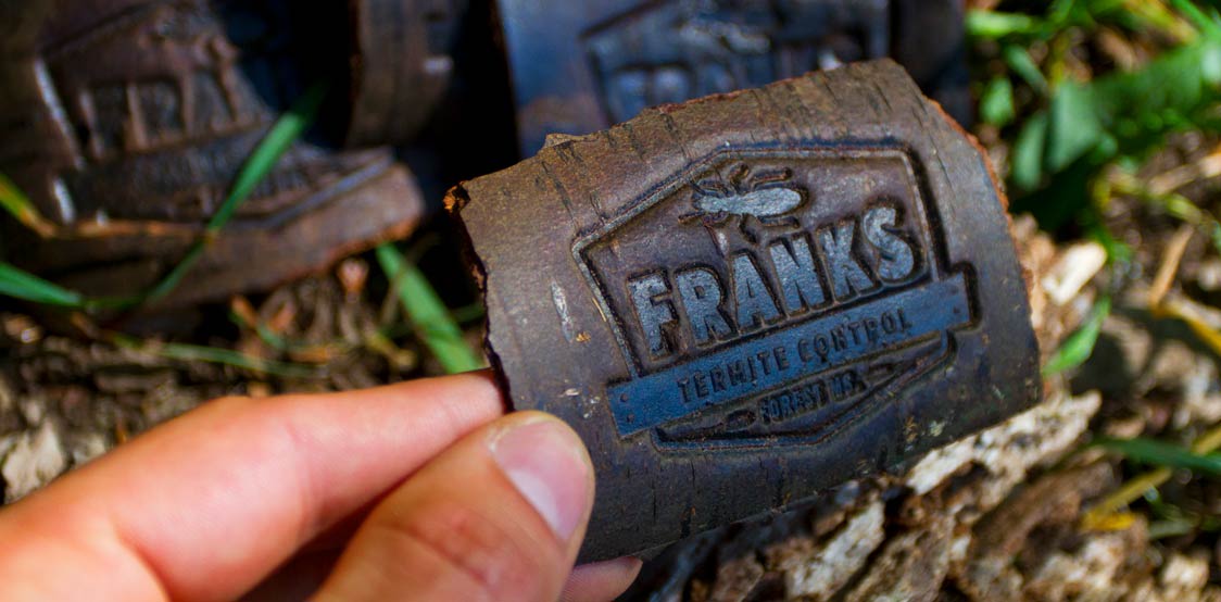 Creative business cards made from a bark of a tree