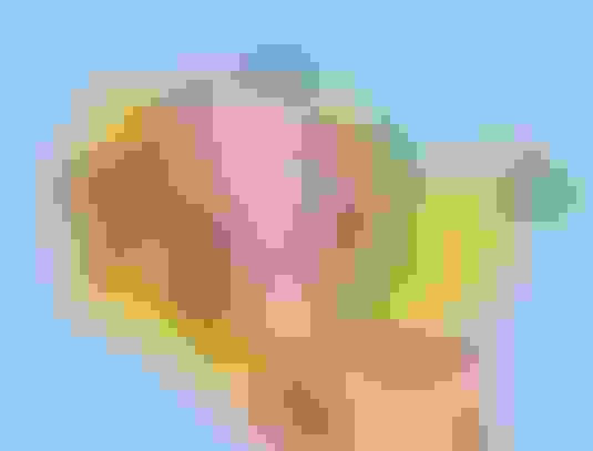 Sticker maker tool - create custom stickers online