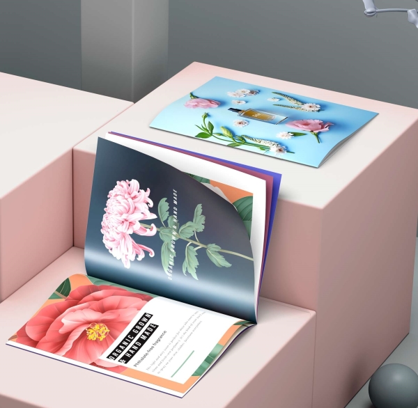 Saddle Stitch Books