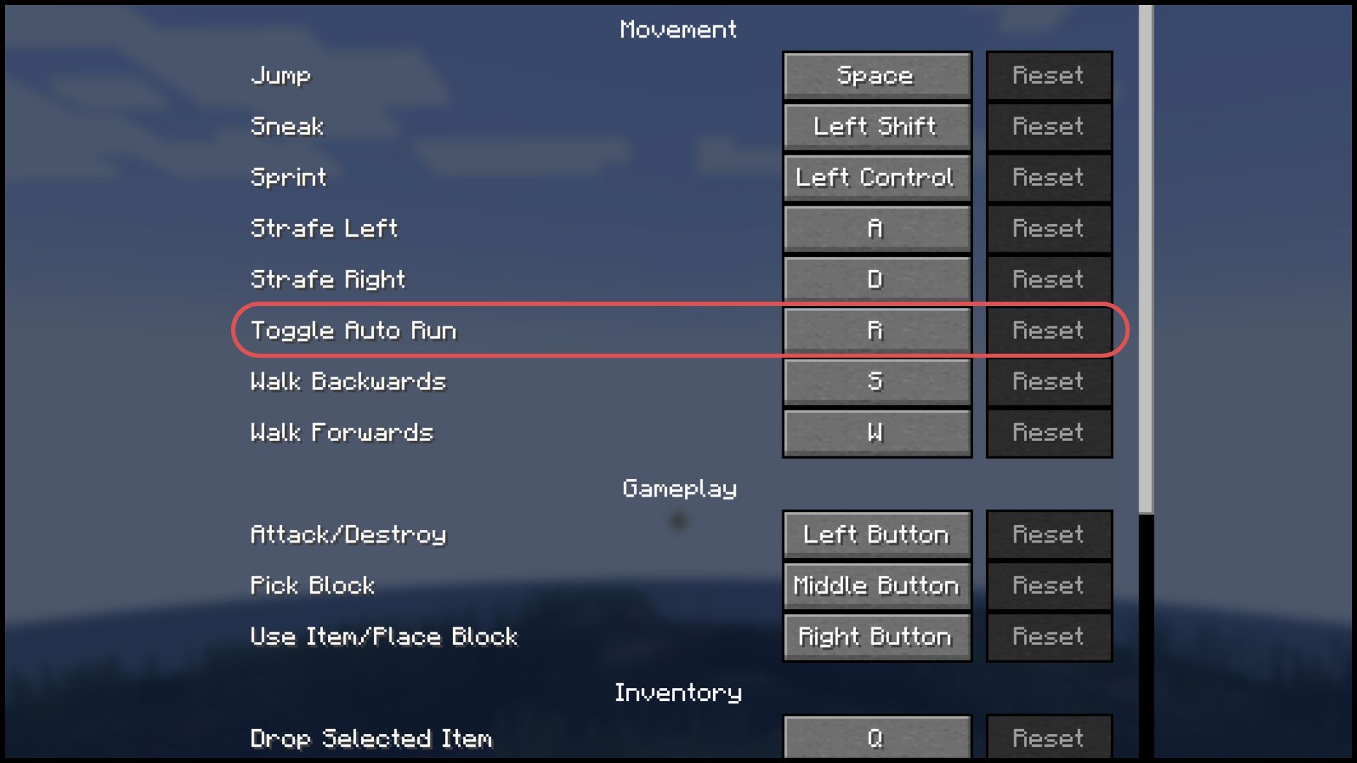 Toggle Auto Run