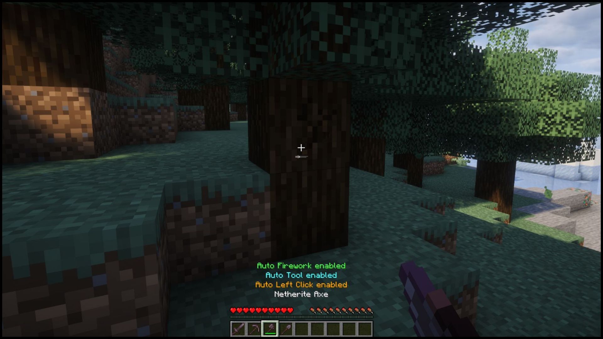AutoToggle Mod Functions In Game