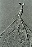 Closeup black and white photograph of sand a stone and patterns