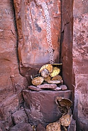 Closeup landscape color photograph of a petroglyph on a red rock wall with dead cactus at the base