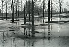 Black and white landscape photograph of leafless trees, frozen water and tree reflections