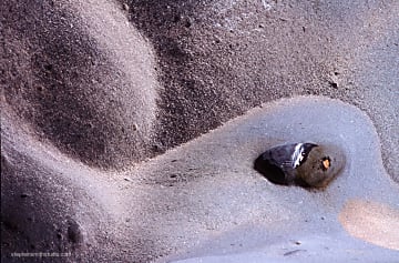 Closeup color Photograph of curved rock formation