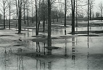Black and white landscape photograph of leafless trees, frozen water and tree reflections