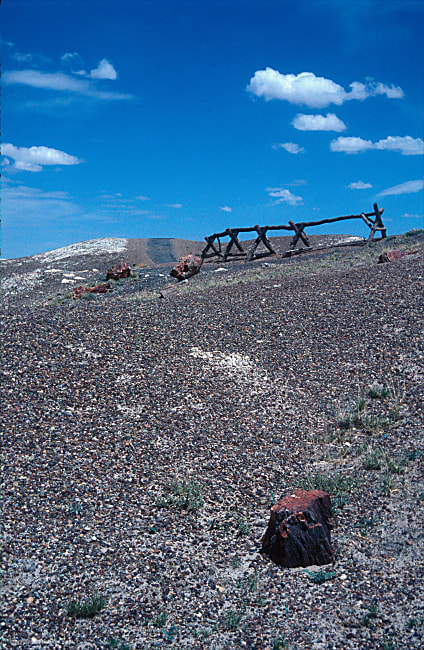 lanscape photograph of petrified wood, gravel, blue sky with puffy clouds and small fence