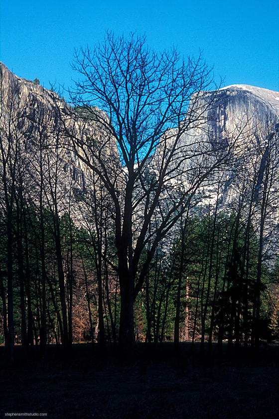 Silhouette on Half Dome