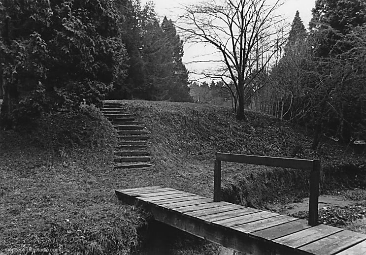 Black and white photograph of a bridge a staircase, grass and trees