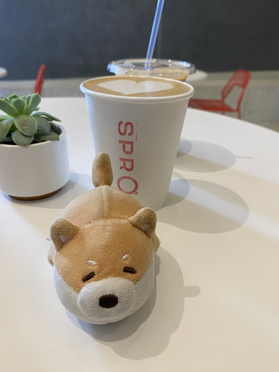 Stressba at Spro, after we got our marriage license!