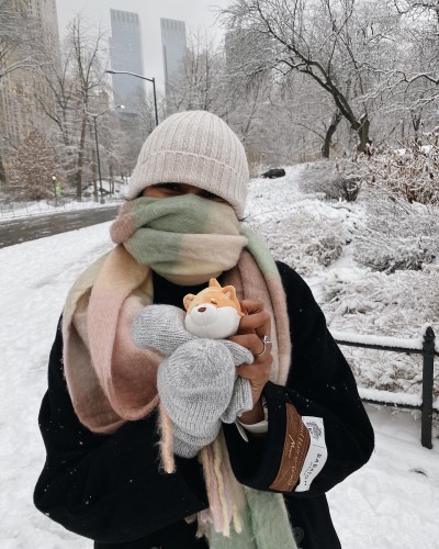 NYC Central Park in the winter. We got Stressba during this trip!