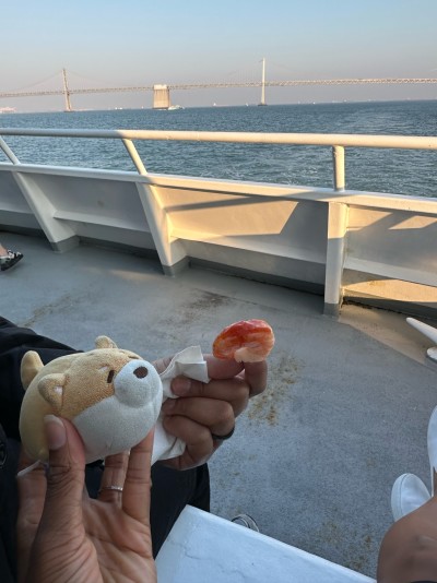 Checking out a shrimp on a cruise under the Golden Gate Bridge