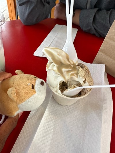 Enjoying soft serve & halva from Seed & Mill in the Chelsea Market