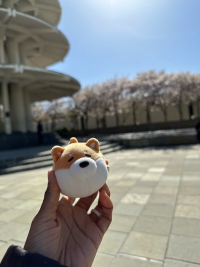 Finding her peace at Japantown's Peace Plaza